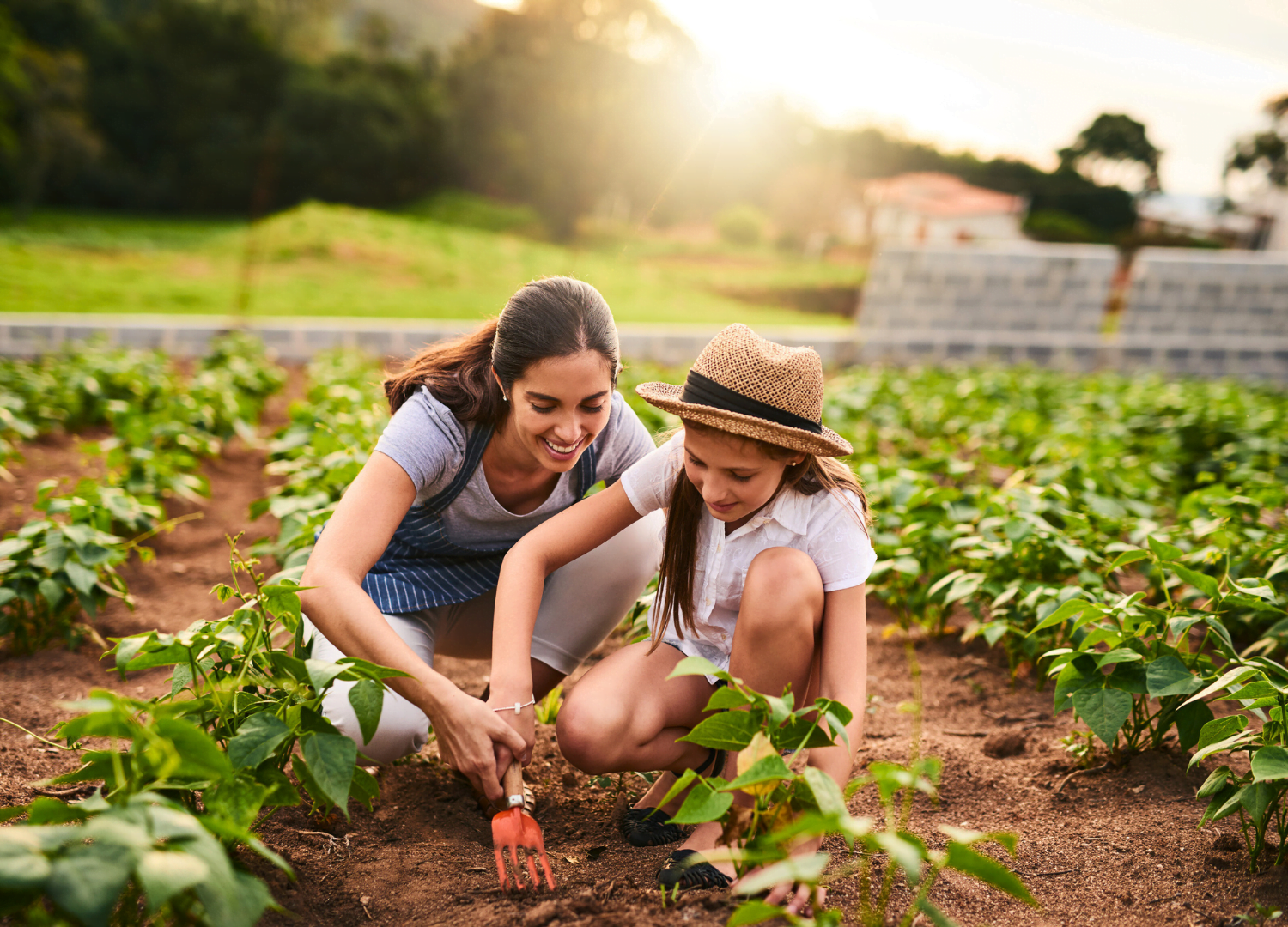 Jovens Agricultores e o OE 2024: Análise Fiscal e Incentivos