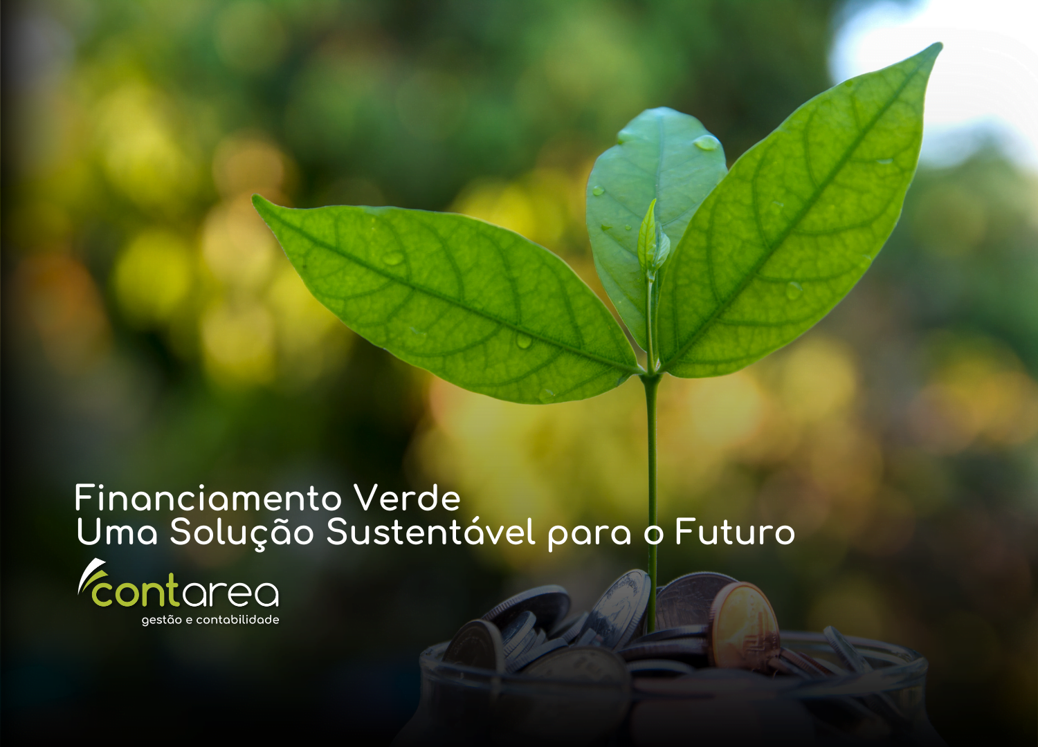 CONTAREA - GESTÃO E CONTABILIDADE - FAMALICÃO - Financiamento Verde: Uma Solução Sustentável para o Futuro