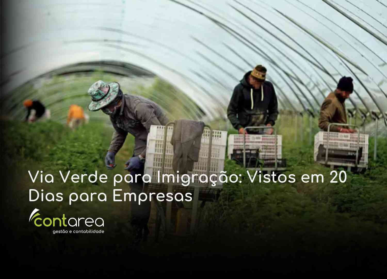 - CONTAREA - GESTÃO E CONTABILIDADE CONTAREA GESTÃO E CONTABILIDADE - 1 FAMALICÃO - Via Verde para Imigração: Vistos em 20 Dias para Empresas