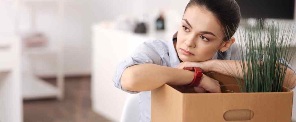 #SITE - CONTAREA GESTÃO E CONTABILIDADE - 1 FAMALICÃO - Desemprego Por Cessação de Atividade Guia Completo - CONTAREA - GESTÃO E CONTABILIDADE 2025 CONTAREA - GESTÃO E CONTABILIDADE - 2 FAMALICÃO - Desemprego Por Cessação de Atividade: Guia Completo