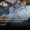CONTAREA - GESTÃO E CONTABILIDADE - FAMALICÃO - Contabilidade Organizada: Quando Compensa e Como Funciona